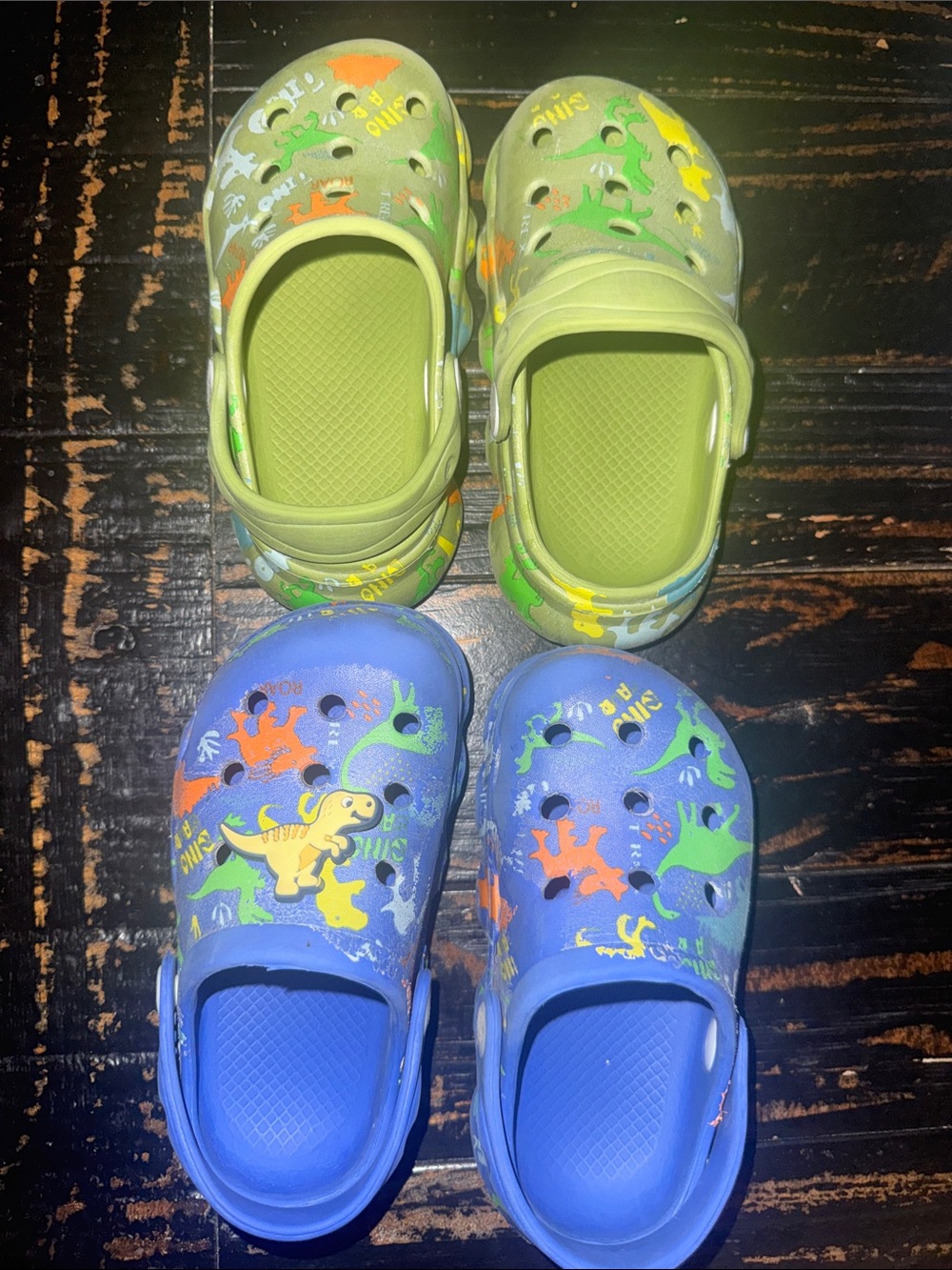 Kids' Dinosaur Clog Shoes - Green and Blue